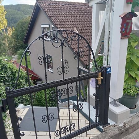 Haus Wiesental Kleines Wiesental Екстериор снимка