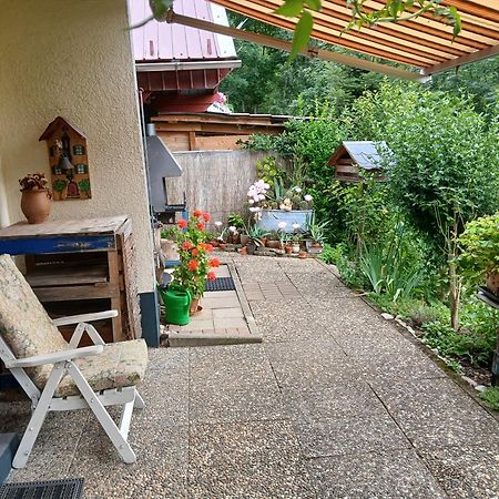 Haus Wiesental Kleines Wiesental Екстериор снимка