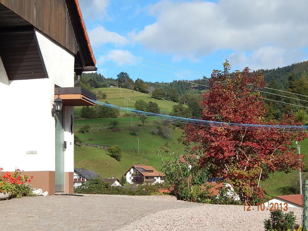 Haus Wiesental Kleines Wiesental Екстериор снимка