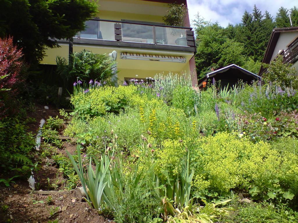 Haus Wiesental Kleines Wiesental Екстериор снимка