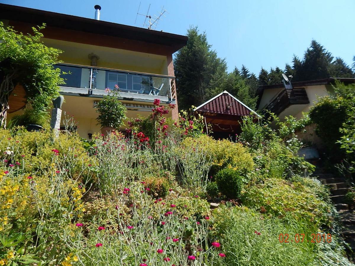 Haus Wiesental Kleines Wiesental Екстериор снимка