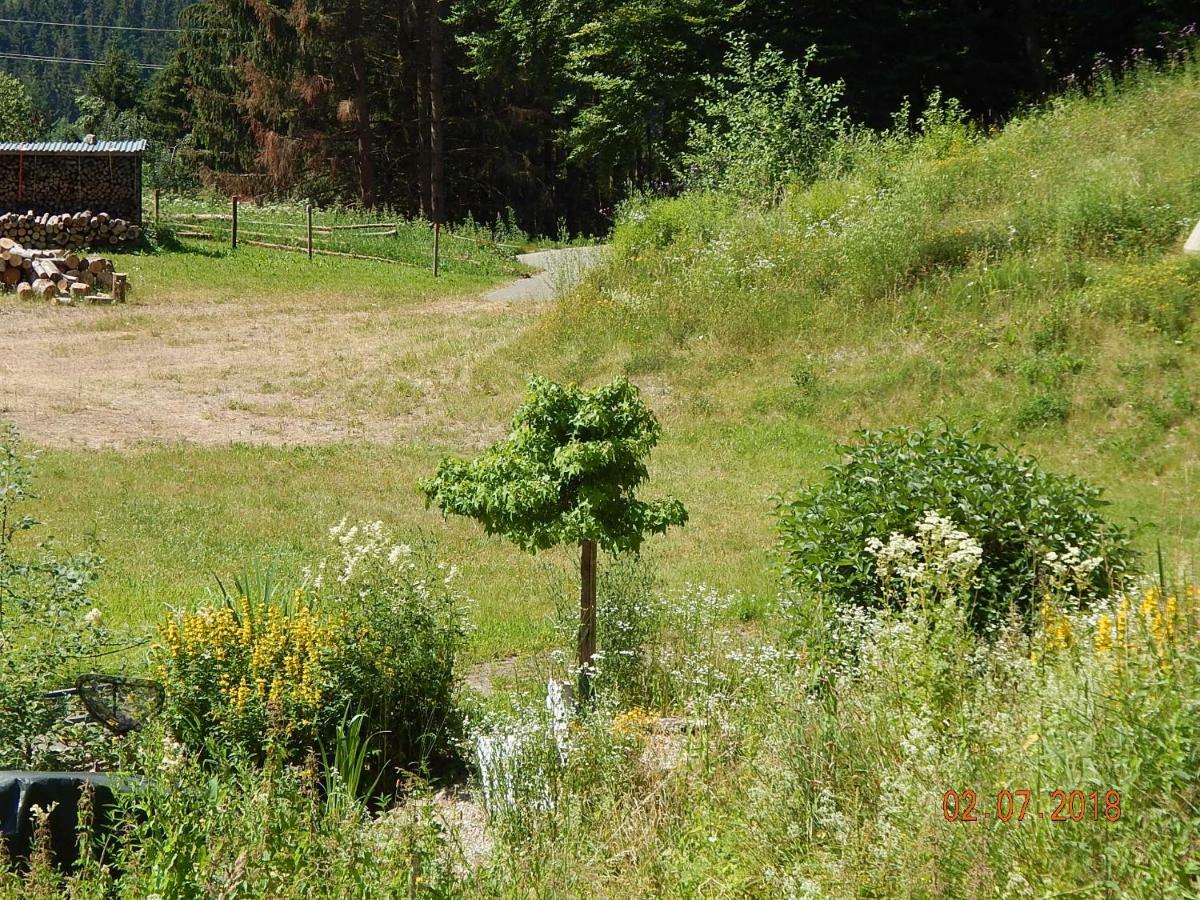 Haus Wiesental Kleines Wiesental Екстериор снимка