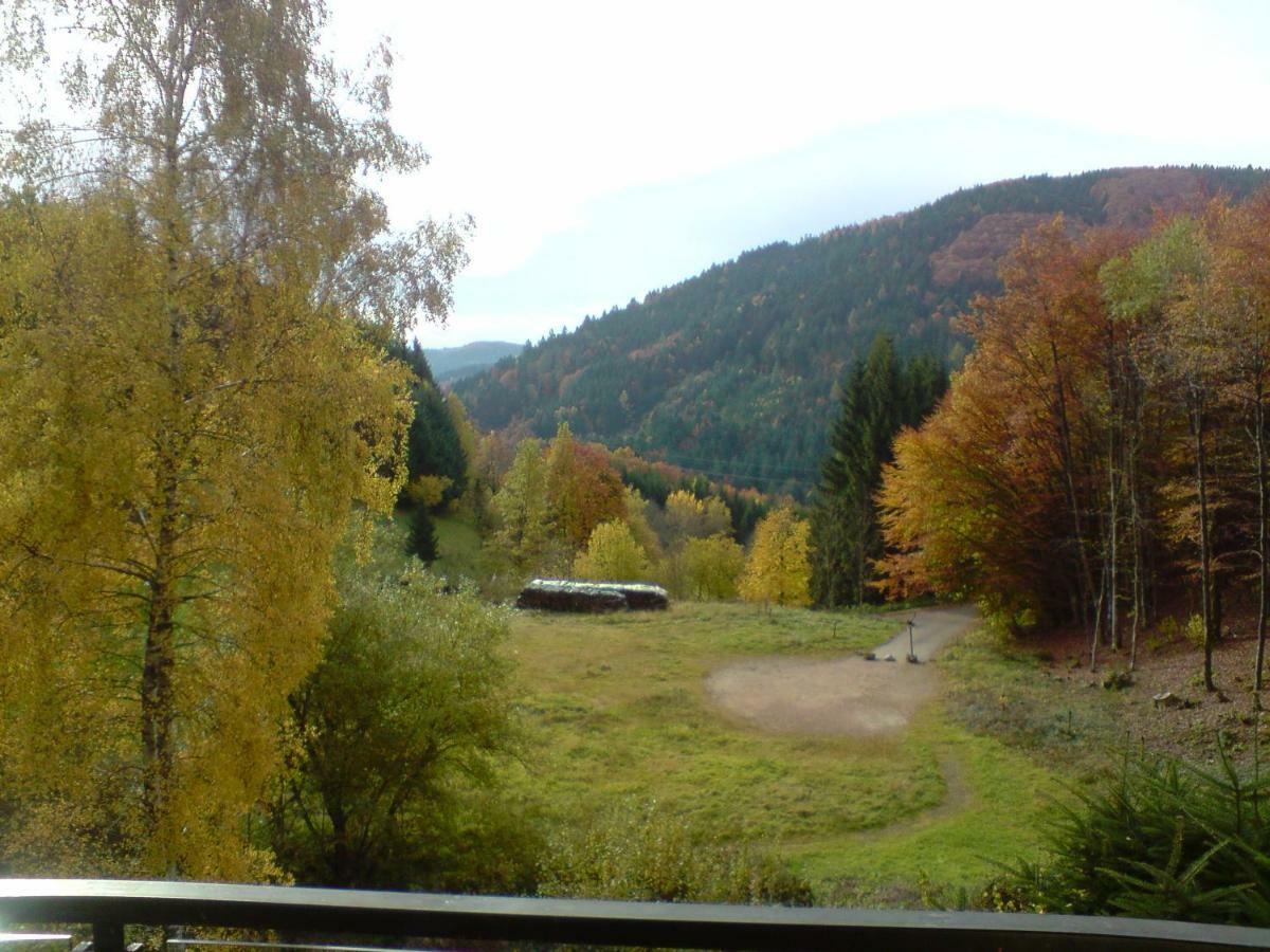 Haus Wiesental Kleines Wiesental Екстериор снимка