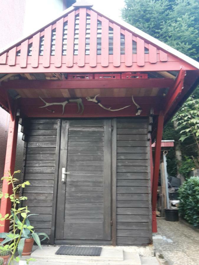 Haus Wiesental Kleines Wiesental Екстериор снимка